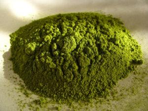 De geschiedenis en het belang van kratom